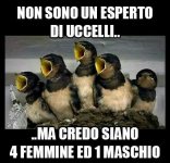 Stati-e-frasi-divertenti-46.jpg