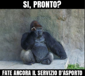 Si pronto.PNG