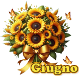 Giugno 2024.png