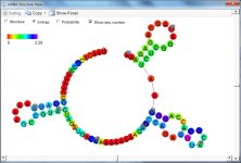 mRNA Structure.jpg