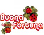 buona fortuna2.jpg