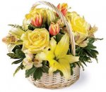 fiori.jpg