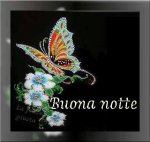 notte 34.jpg