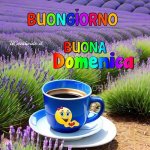 Buongiorno1.jpg