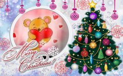 Immagine WhatsApp 2024-11-06 ore 20.45.32_b2fdbdef.jpg