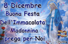 domenica 8 dic.gif