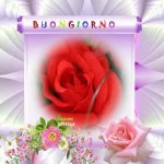 buongiorno 01.jpg