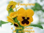 inizio settimana 02.jpg