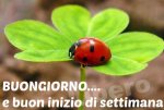 image_10521.jpg