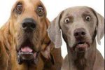 11355413_1430722650581817_598475419_n.jpg?oh=e3c91ddcc097d8a74711202dcfc0e92c&oe=556780E2.jpeg