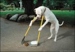 898648_FEN2531LRSEAOFU8T1UTH5SFUV37LL_cane-spazzini_H135809_L[1].jpg