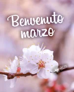 benvenuto-marzo-fiore.webp