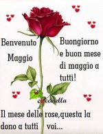 FB_IMG_1746085342118.jpg