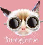 buongiorno-simpatico-3254598380.jpg
