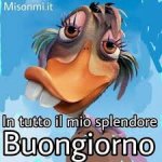 images (12).jpeg