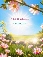 0453b1f4-5a20-4ee2-8e06-3bfb0d0e5cdb.jpeg