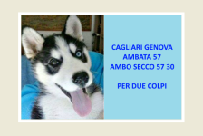 Previsione.png