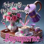 FB_IMG_1747194482659.jpg