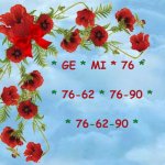 4238fb54-3d55-4ba6-8c67-50d3719a2258.jpeg