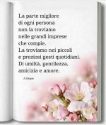 FB_IMG_1748163452733.jpg