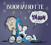 1748202166436.png