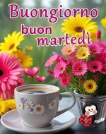 FB_IMG_1748324638889.jpg