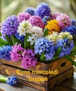 FB_IMG_1748403210137.jpg