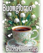 domenica2.jpg
