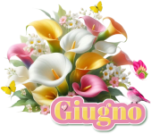 Giugno 2025.png