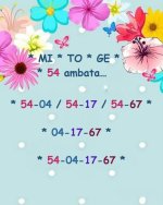 0e3a108e-5c4a-4e90-8af1-de8c0a7d5680.jpeg