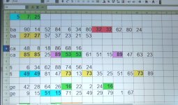 IMG_20250707_110702.jpg