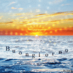 2904058_cc529.gif