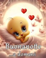 FB_IMG_1754157175427.jpg