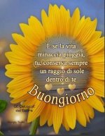 FB_IMG_1754451225499.jpg