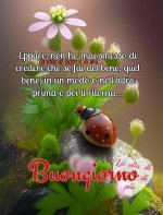 se fai del bene5.jpg