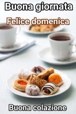 FB_IMG_1755377985886.jpg