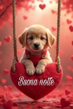 FB_IMG_1755538506261.jpg