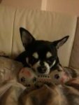 20130918_202317.jpg