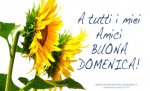 4 BUONA DOMENICA GIRASOLI.jpg