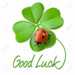15473329-Lucky-symbols-four-leaf-clover-and-ladybug-Stock-Photo-clover-luck-good.jpg