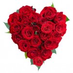 heart-of-red-roses_0[1].jpg
