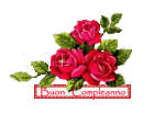 photo11744.gif