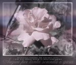 atmosfera-buon-compleanno.jpg
