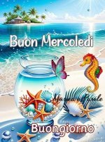 mercolkedi.jpg