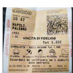 VIINCITA DI FIDELIO (1).png