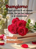 FB_IMG_1759032504344.jpg
