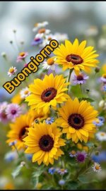 FB_IMG_1759201309617.jpg