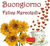 mercoledi.jpg
