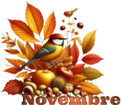 Mese di novembre 2025.png