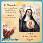 1000005631.jpg 1000005631.jpg